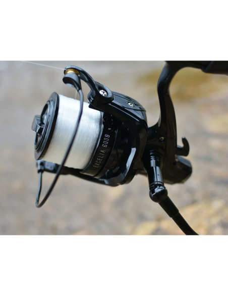 Mulineta Prowess Excelia 6008 FD