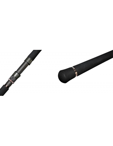 Lanseta Zeck Evo Cat Spin, 2.17m, 100g, 2buc