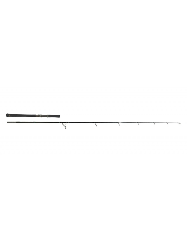 Lanseta Zeck Evo Cat Spin, 2.17m, 100g, 2buc