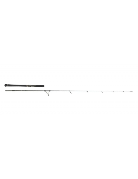 Lanseta Zeck Evo Cat Spin, 2.17m, 100g, 2buc Lanseta Zeck Evo Cat Spin, 2.17m, 100g, 2buc