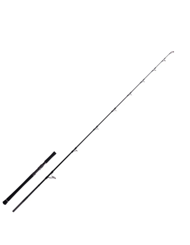 Lanseta Zeck Evo Cat Vertic, 1.90m, 180g, 2buc