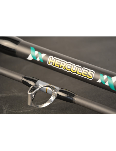 Lanseta EnergoTeam Wizard Cat Hercules, 3.10m, 300-600g, 2buc Lanseta EnergoTeam Wizard Cat Hercules, 3.10m, 300-600g, 2buc