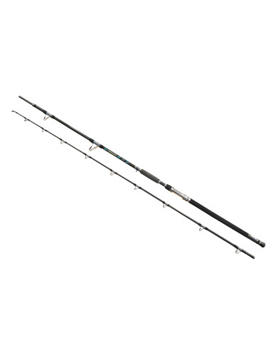 Lanseta EnergoTeam Wizard Cat Hercules, 3.10m, 300-600g, 2buc