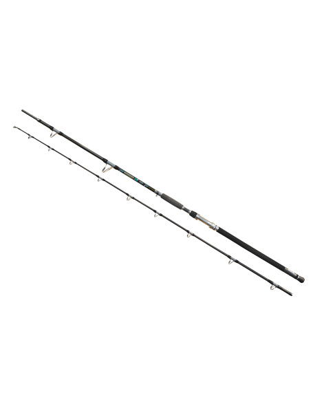 Lanseta EnergoTeam Wizard Cat Hercules, 3.10m, 300-600g, 2buc Lanseta EnergoTeam Wizard Cat Hercules, 3.10m, 300-600g, 2buc