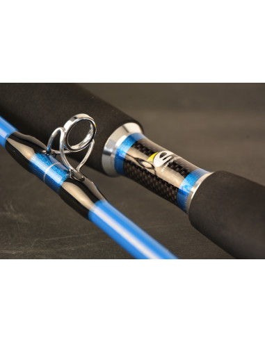 Lanseta EnergoTeam Wizard Cat Pro Power, 3m, 600-800g, 2buc