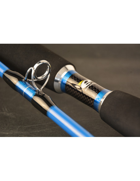Lanseta EnergoTeam Wizard Cat Pro Power, 3m, 600-800g, 2buc Lanseta EnergoTeam Wizard Cat Pro Power, 3m, 600-800g, 2buc