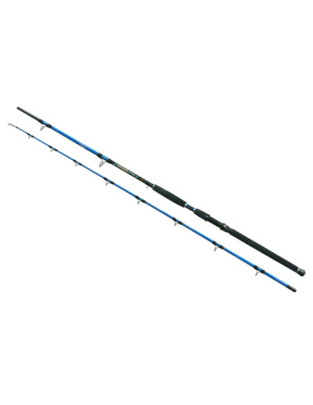 Lanseta EnergoTeam Wizard Cat Pro Power, 3m, 600-800g, 2buc Lanseta EnergoTeam Wizard Cat Pro Power, 3m, 600-800g, 2buc