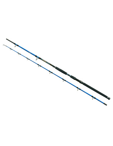 Lanseta EnergoTeam Wizard Cat Pro Power, 3m, 800-1000g, 2buc