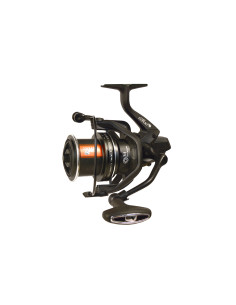 Mulineta EnergoTeam Method Carp Expert Score