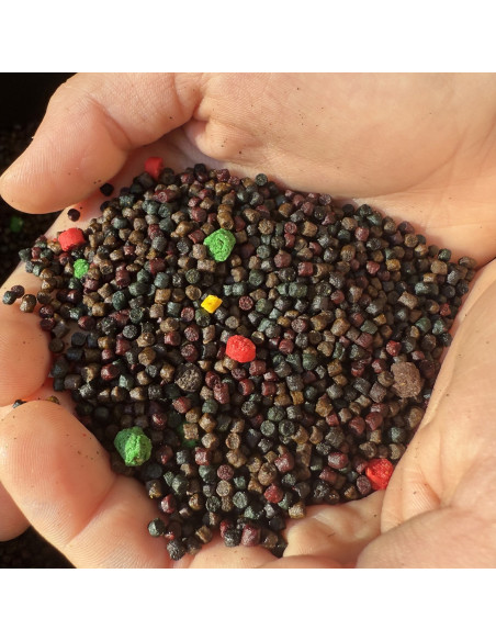 Pelete Senzor Mix Editie Limitata, 2-3mm, 5kg Pelete Senzor Mix Editie Limitata, 2-3mm, 5kg