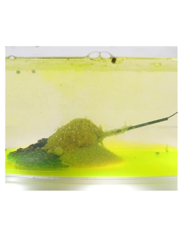 Nada Feeder Claumar Nuclear, Capsuna, 800g