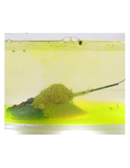 Nada Feeder Claumar Nuclear, Capsuna-Usturoi, 800g