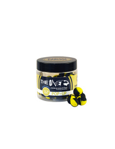 Pop-Up The One 14-16mm, Honey&Halibut