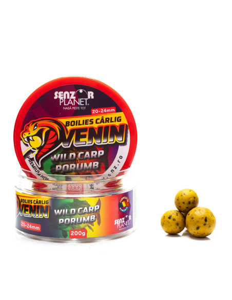 Boilies Senzor Venin Wild Carp Porumb, 20-24mm, 200g Boilies Senzor Venin Wild Carp Porumb, 20-24mm, 200g