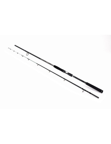 Lanseta Formax Black River, 2,40m 80-240g
