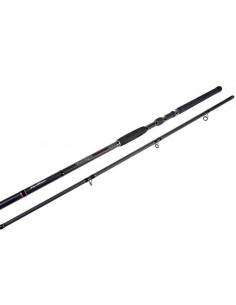 Lanseta Formax Vantage Catfish, 2.70m, 100-300g