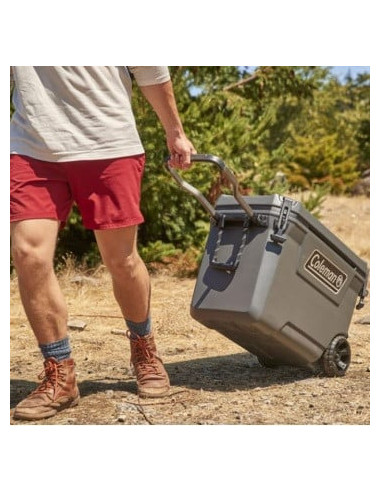 Lada frigorifica pasiva Coleman Convoy 62l, gri, 73 x 38 x 47 cm -