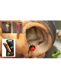 Fox Zig Alingna Set 2