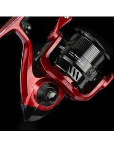 Mulineta TF By Dome MasterCarp Pro 2