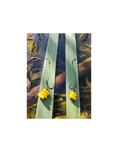 Carlige legate FeederX Wild Carp Strong Hook