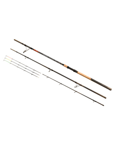 Lanseta Carp Expert Silver Carp Heavy Feeder 3.90m, 100-200g, 3+3seg