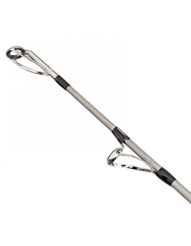 Lanseta Somn Filfishing Hercules 1.98m, 100-300gr