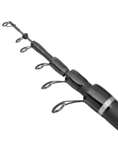 Lanseta Bolognesa Filfishing Filex Continental, 5m, 30g