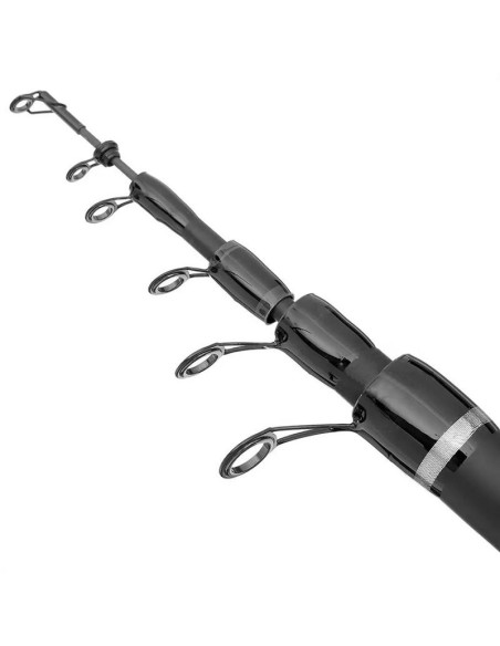 Lanseta Bolognesa Filfishing Filex Continental, 5m, 30g Lanseta Bolognesa Filfishing Filex Continental, 5m, 30g