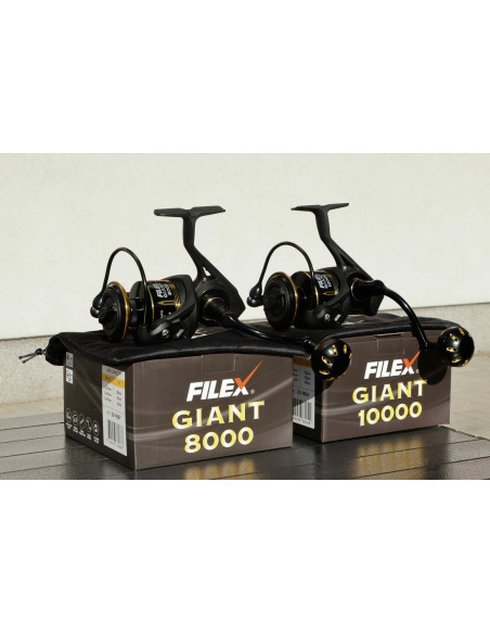 Mulineta Filex Giant Mulineta Filex Giant