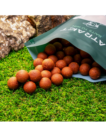 Boilies de Nadit Atrakt Formula SP, Squid & Plum, Solubil, 1kg Boilies de Nadit Atrakt Formula SP, Squid & Plum, Solubil, 1kg