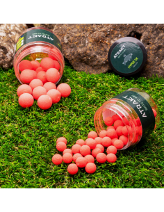 Pop-Up Atrakt Hyper SX, Strawberry, 20g 2