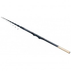 Lanseta fibra de carbon Smart Trout 4m