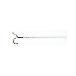Carp Academy Montura boilie nr.6