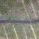 Baston nadire Cobra de carbon LD Baston nadire Cobra de carbon LD