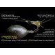 Enterprise Tackle Protect A Bead