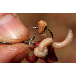 Maggot Clip Korda
