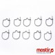 Mostiro magot clip Mostiro magot clip