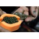 Matrita Incarcare Nada Guru X-Press Method Mould