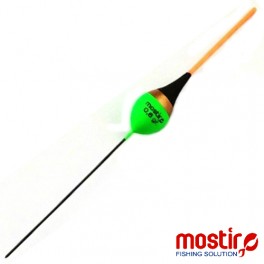  PLUTE MOSTIRO ADRIANA