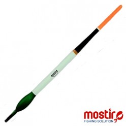 PLUTE MOSTIRO MIHAELA V CULISANTA