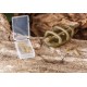 Extra Carp Conector pentru method 6 buc/plic Extra Carp Conector pentru method 6 buc/plic