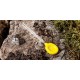Extra Carp Croseta boillies ExtraCarp Extra Carp Croseta boillies ExtraCarp