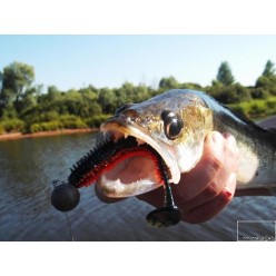 Fox Rage Spikey Shad 6cm ,Salt n Pepper 2