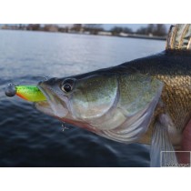 Shad Fox Rage Zander Pro 7.5 cm ,Hot Olive Shad Fox Rage Zander Pro 7.5 cm ,Hot Olive