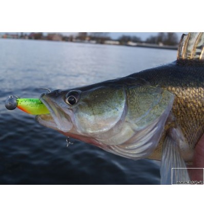 Shad Fox Rage Zander Pro 7.5cm, Black n Lime