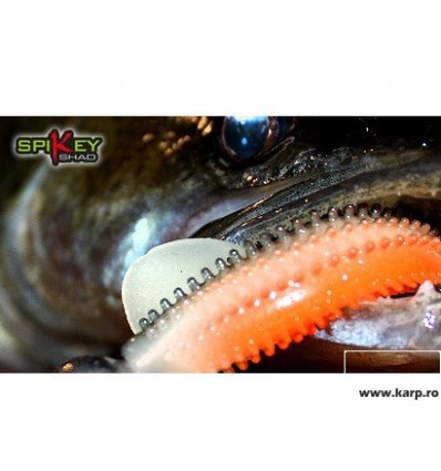 Fox Spikey Shad Watermelon 9cm