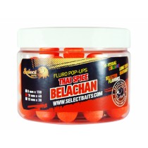 Select Baits pop-up Thai Spice Belachan Select Baits pop-up Thai Spice Belachan