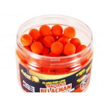 Select Baits pop-up Thai Spice Belachan Select Baits pop-up Thai Spice Belachan