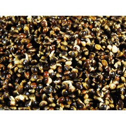 Select Baits Chilli Hemp 2