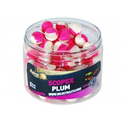 Select Baits pop-up Two-Tone Scopex-Plum 2